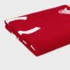 Beach Towel in C Sulky Terry Cotton