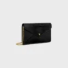 Envelope Wallet on Chain in Lizard