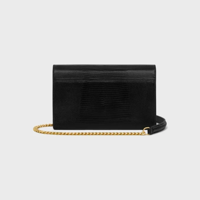 Envelope Wallet on Chain in Lizard
