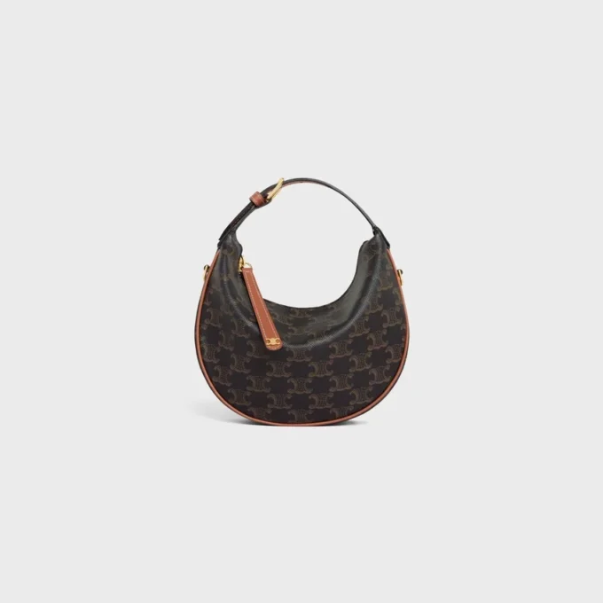 Teen Celine Lulu in Triomphe Canvas and Calfskin