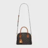 Teen Honorine Bag in Triomphe Canvas and Calfskin