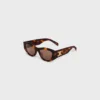 Triomphe 15 Sunglasses in Acetate